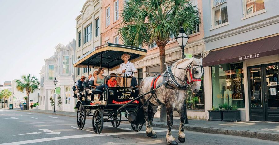 Charleston: Historical Downtown Tour by Horse-drawn Carriage - The harbor, Rainbow Row, and the city’s best views