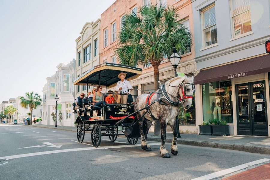 Charleston: Historical Downtown Tour by Horse-drawn Carriage - A carriage ride through Charleston’s old streets