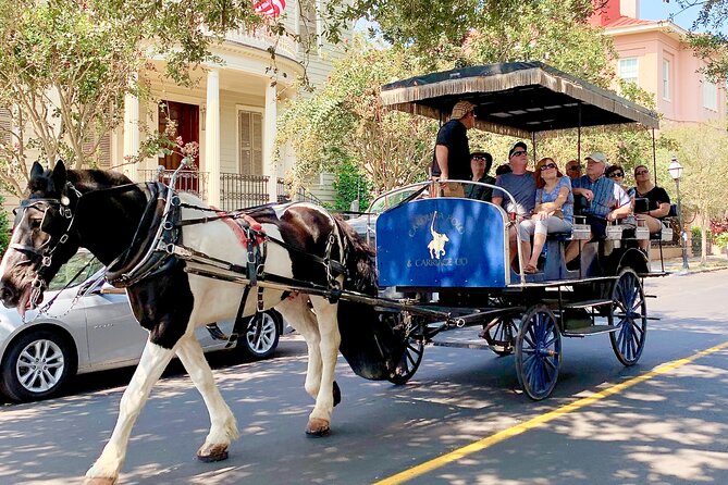 Charleston Horse & Carriage Historic Sightseeing Tour - Why a carriage is a smart first look at Charleston