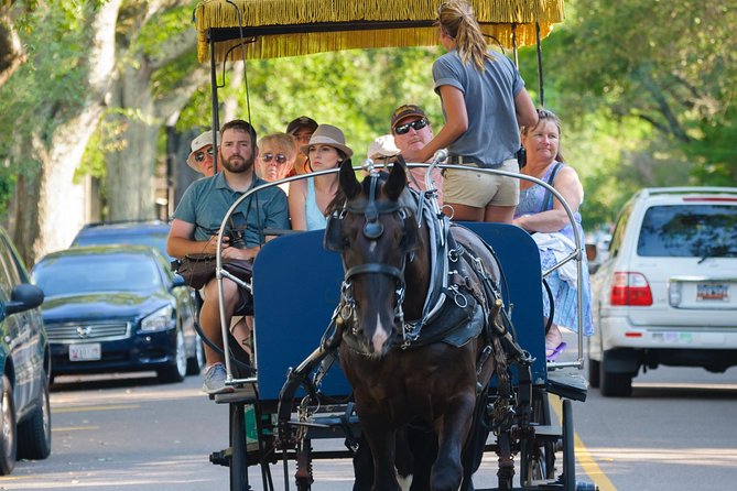 Charleston Horse & Carriage Historic Sightseeing Tour - The route changes, and that is part of the deal