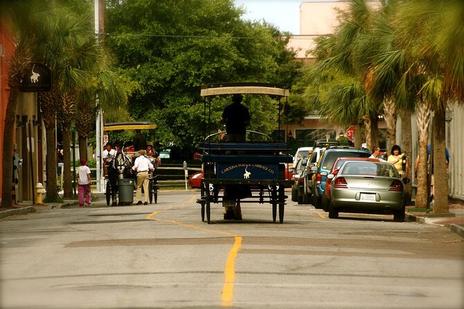 Charleston Horse & Carriage Historic Sightseeing Tour - Rainbow Row and the city’s colorful facades