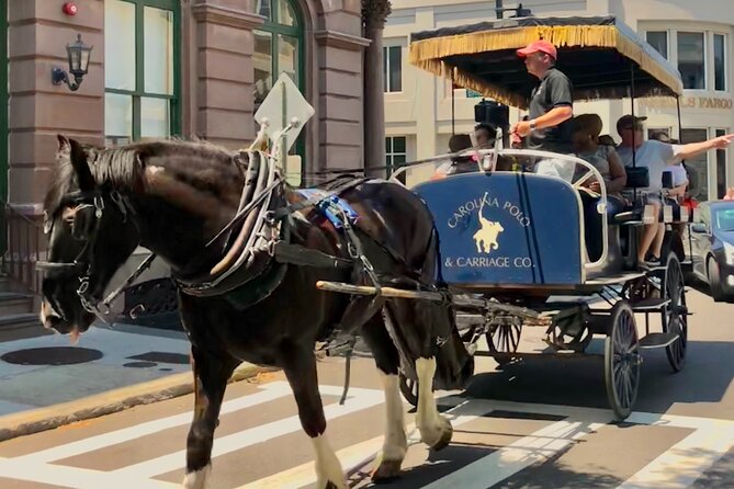 Charleston Horse & Carriage Historic Sightseeing Tour - The guide can make or break the hour
