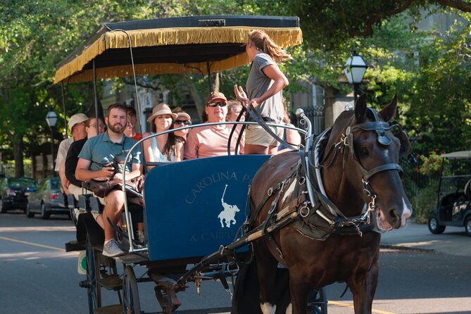 Charleston Horse & Carriage Historic Sightseeing Tour - Meeting the horses and judging the carriage