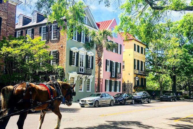 Charleston Horse & Carriage Historic Sightseeing Tour - Starting at City Market on Pinckney Street
