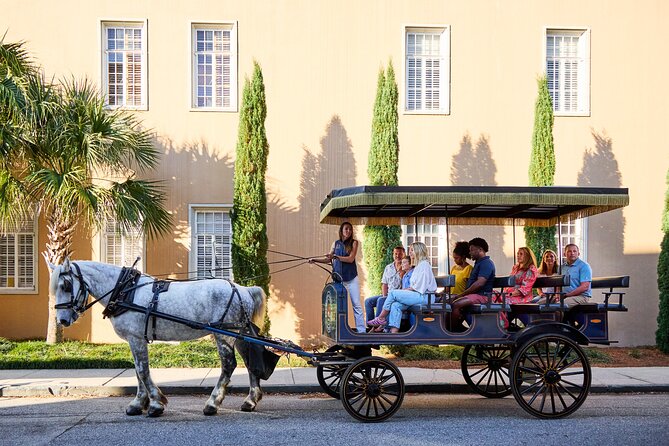 Charleston Horse-Drawn Carriage Tour: Explore Historic Charleston - A useful option for families and limited mobility