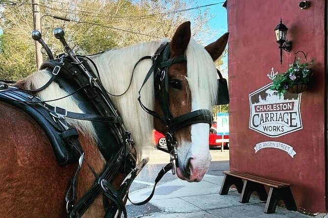 Charleston's Historic Residential Horse and Carriage Tour - What makes this carriage ride worth considering