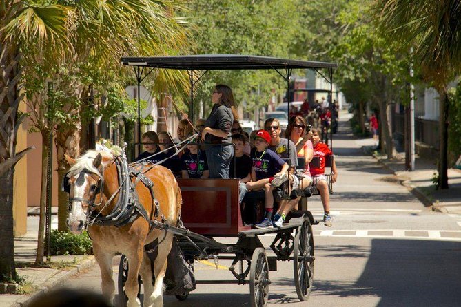 Charleston's Historic Residential Horse and Carriage Tour - A custom carriage through Charleston’s residential district