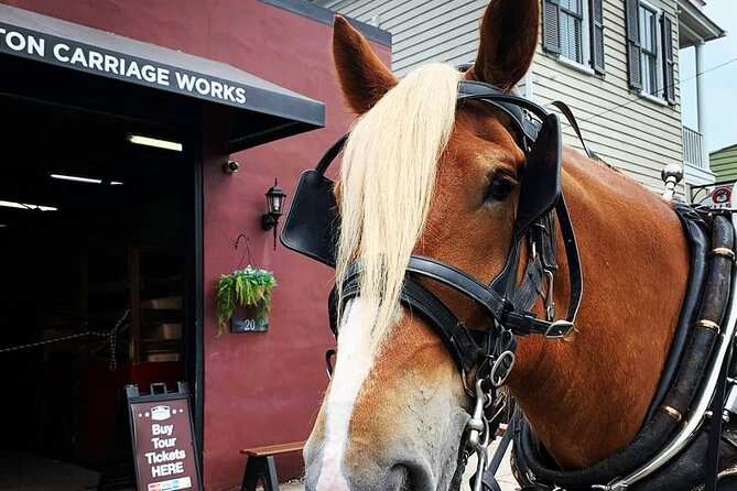 Charleston's Historic Residential Horse and Carriage Tour - What you see along the route