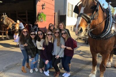 Charleston’s Historic Residential Horse and Carriage Tour