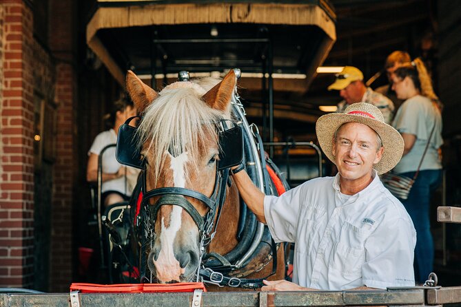 Charleston’s Old South Carriage Historic Horse & Carriage Tour - Why a carriage is a smart first look at Charleston