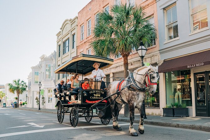 Charleston’s Old South Carriage Historic Horse & Carriage Tour - Thirty blocks of mansions, churches, and gardens