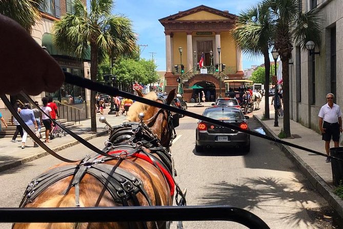 Charleston’s Old South Carriage Historic Horse & Carriage Tour - What the horse adds to the hour