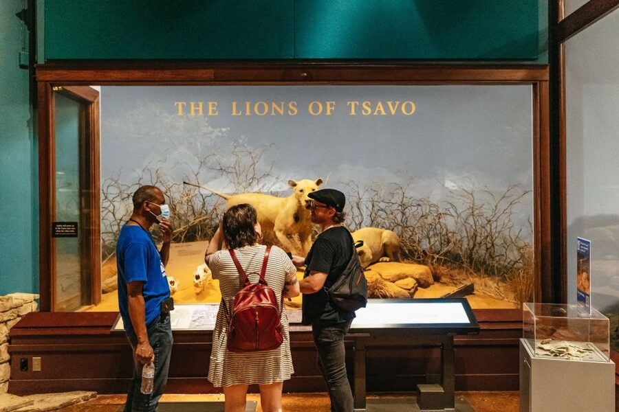 Chicago: Field Museum of Natural History Ticket or VIP Tour - Key points to know before you go