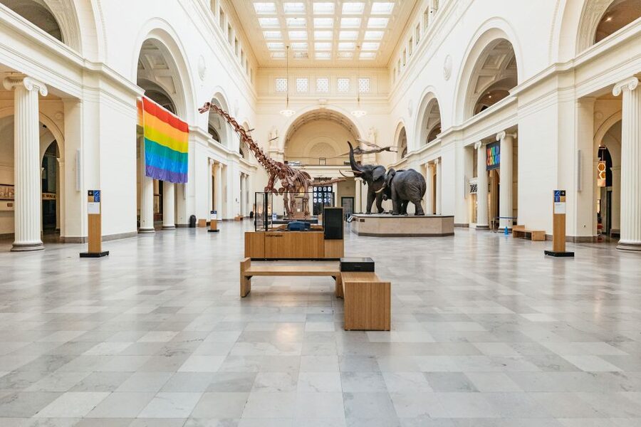 Chicago: Field Museum of Natural History Ticket or VIP Tour - Why Sue and Maximo are only the beginning