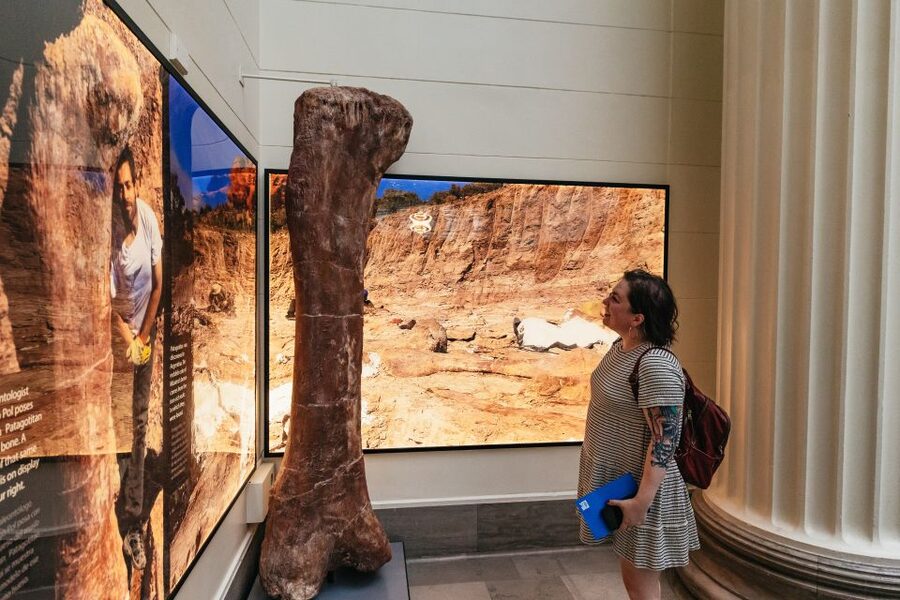Chicago: Field Museum of Natural History Ticket or VIP Tour - What the one-hour Early Access VIP Tour adds