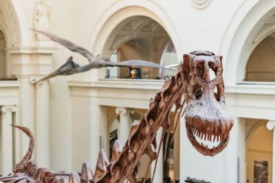 Field Museum of Natural History Ticket or VIP Tour