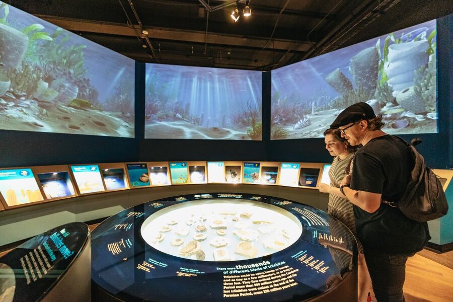 Chicago: Field Museum of Natural History Ticket or VIP Tour - Evolving Planet, mammoth hunters, and the main fossil route