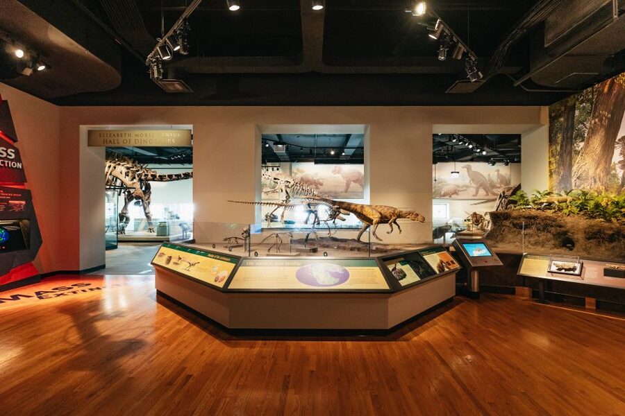Chicago: Field Museum of Natural History Ticket or VIP Tour - Ancient cultures, Egypt, and the mastaba tomb