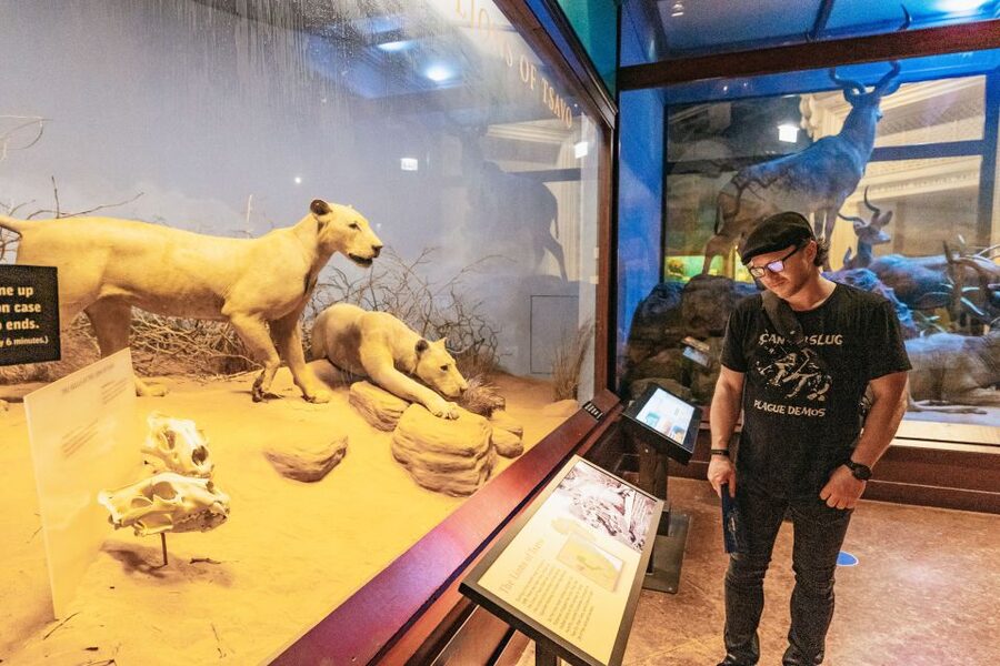 Chicago: Field Museum of Natural History Ticket or VIP Tour - Lions of Tsavo and the animal displays