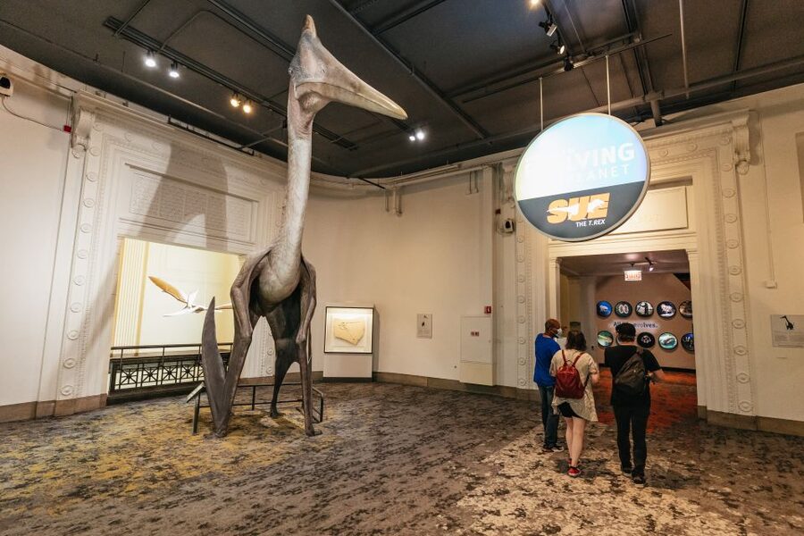 Chicago: Field Museum of Natural History Ticket or VIP Tour - Underground Adventure and smaller discoveries