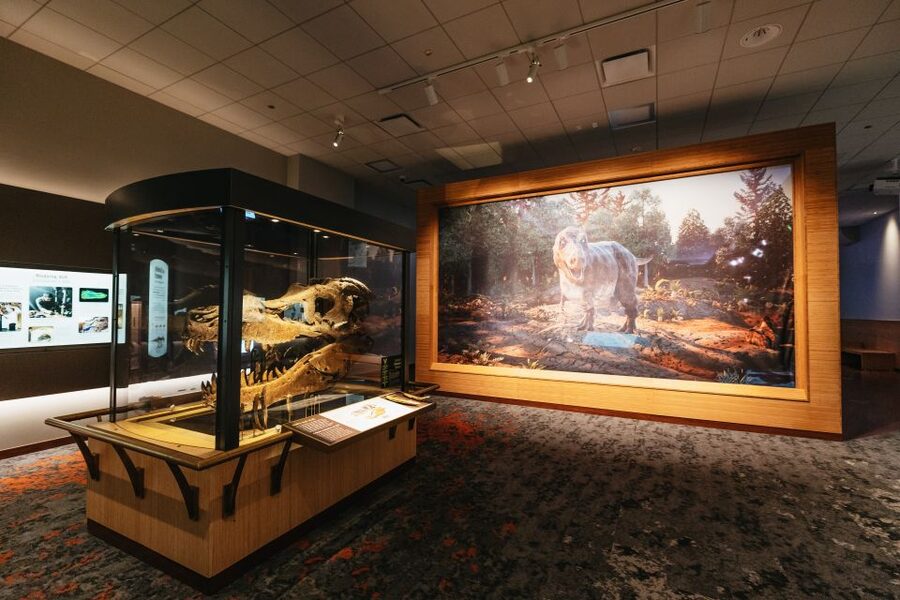 Chicago: Field Museum of Natural History Ticket or VIP Tour - How long you need and how to handle crowds