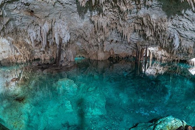 Coba Private Tour – Ancient Ruins & Refreshing Cenote Swim - Riding Through Coba’s Jungle Paths
