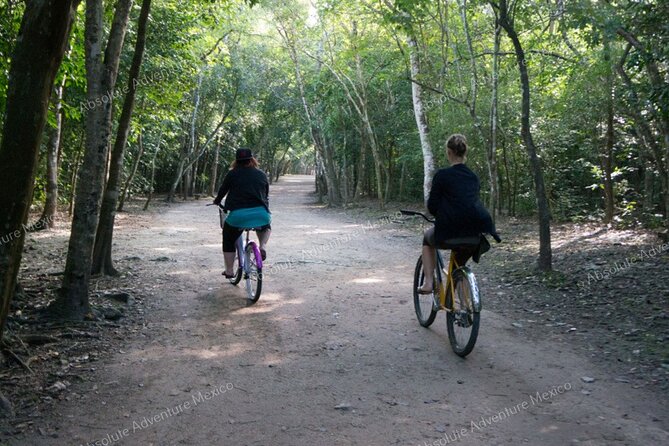 Coba Private Tour – Ancient Ruins & Refreshing Cenote Swim - Who Will Enjoy This Tour Most