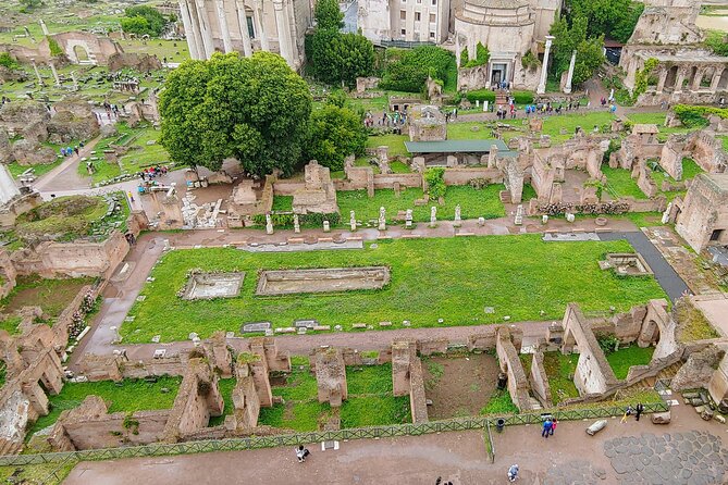Colosseum & Ancient Rome Guided Walking Tour - Should you book it?