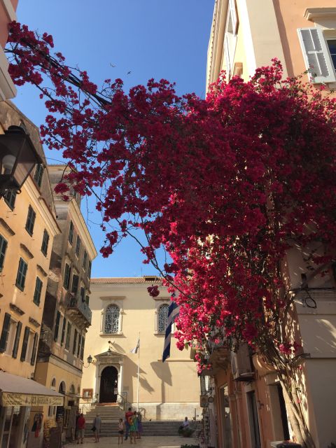 Corfu: History and Culture Walking Tour - Alleys, fountains, and the character of Corfu Town
