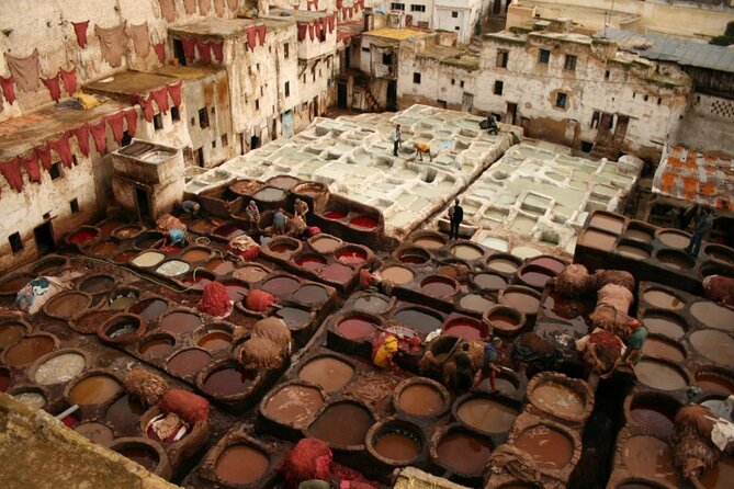 Discover the secrets of the Medina of Fez: guided cultural tour (private) - Why a private guide matters in Fez el-Bali