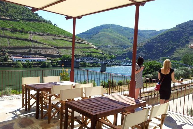 Douro Valley: Historical Sites, Wine Experience, Lunch & Cruise - The N222 road follows the heart of the wine country