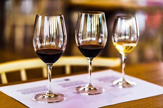 Douro Valley: Historical Sites, Wine Experience, Lunch & Cruise - The vineyard visit and three wine tastings