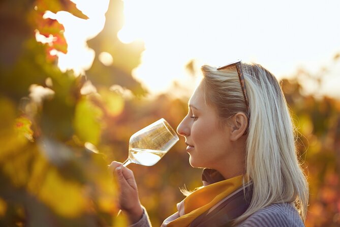 Douro Valley: Historical Sites, Wine Experience, Lunch & Cruise - Lunch brings Douro food and wine to the table