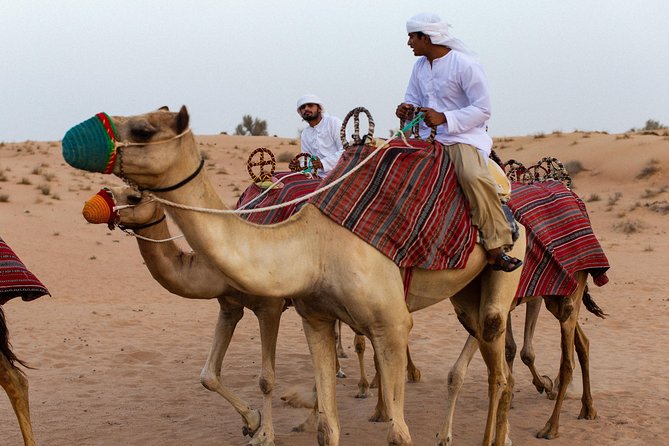 Dubai Camel Desert Safari, Traditional Meal & Heritage Activities - A Bedouin camp with coffee, henna, and bread
