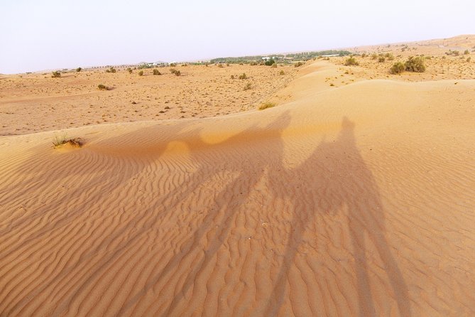 Dubai Camel Desert Safari, Traditional Meal & Heritage Activities - The 45-minute camel caravan