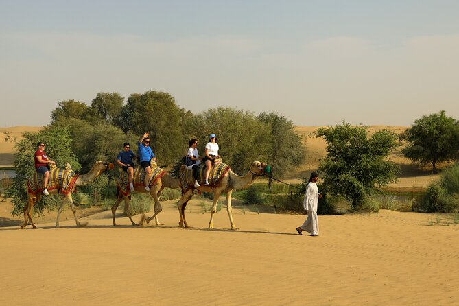 Dubai Evening Heritage Safari by Vintage G Class Al Marmoom Oasis - The camel caravan is brief, but easy to fit into the evening