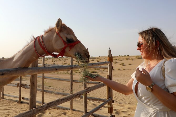 Dubai Evening Heritage Safari by Vintage G Class Al Marmoom Oasis - Bedouin stories and telescope stargazing