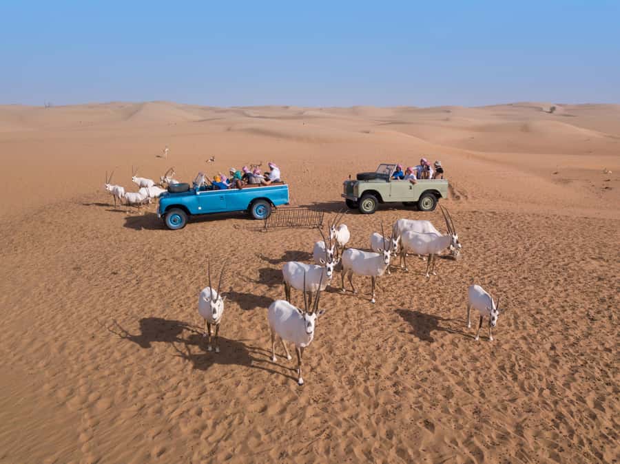 Dubai: Heritage Safari in Vintage Land Rover with Dinner - Should you book it?