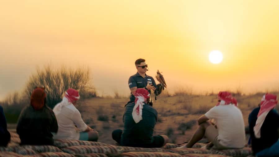 Dubai: Heritage Safari in Vintage Land Rover with Dinner - The drive into Dubai Desert Conservation Reserve