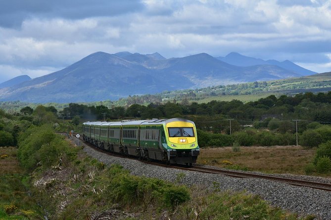 Dublin to Cork, Blarney Castle & Cóbh Heritage Centre by train - Who should book this tour?