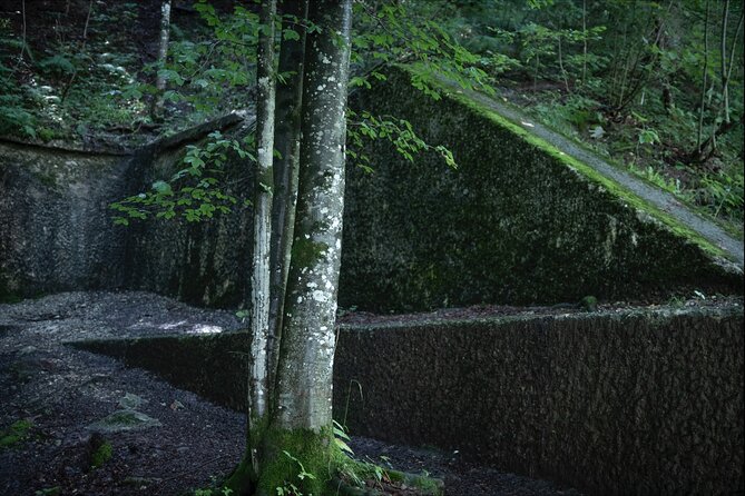 Eagle's Nest-Berchtesgaden-Obersalzberg Private Half Day WWII Historical Tour - Is $591.34 good value for up to six people?