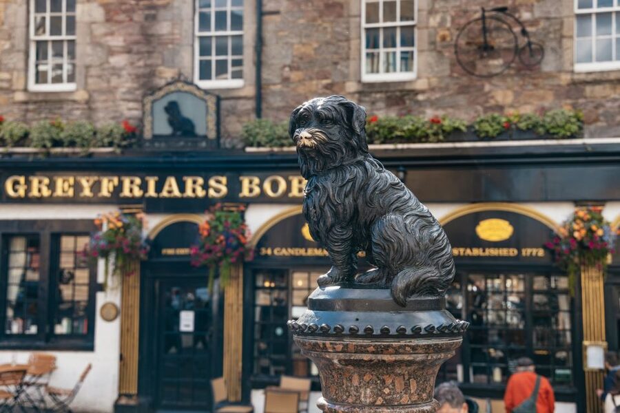Edinburgh: Old Town History and Tales Walking Tour - St. Giles Cathedral and the Royal Mile setting