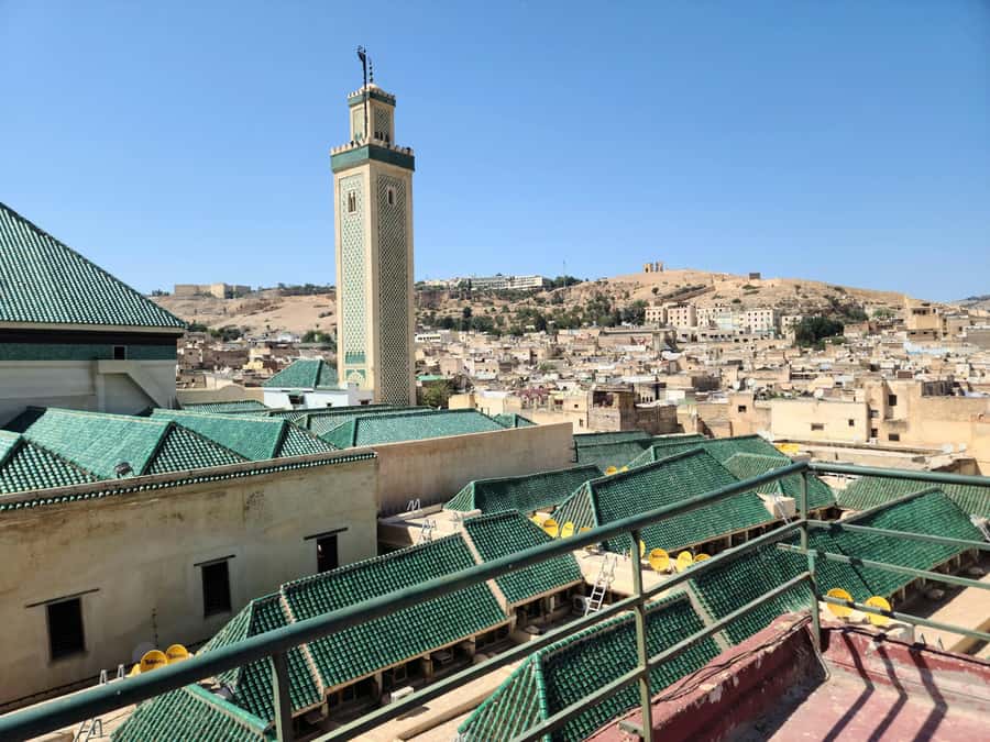 Fez: Guided Walking Tour of the Historic Medina - Bou Inania and Al-Attarine madrasas