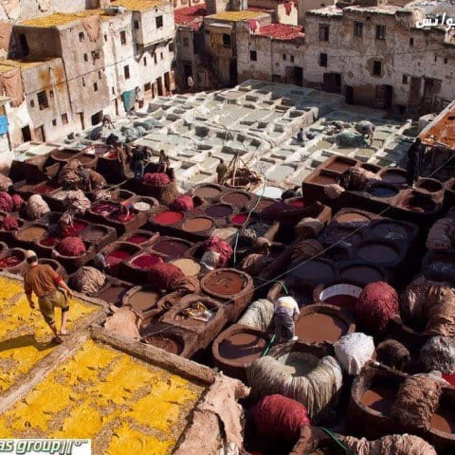 Fez: Guided Walking Tour of the Historic Medina - Artisan workshops with the workers in front of you