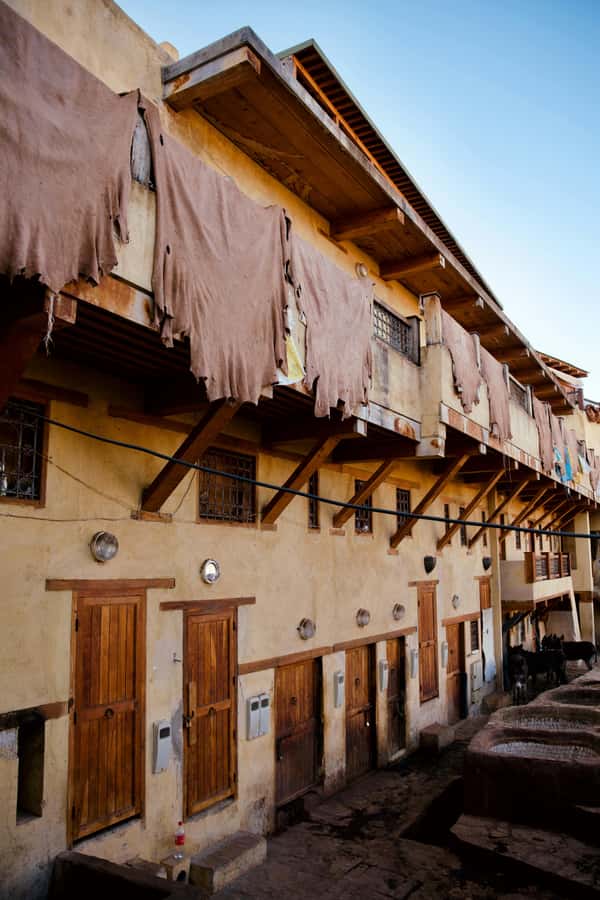 Fez: Guided Walking Tour of the Historic Medina - Four hours on paper, much longer in practice