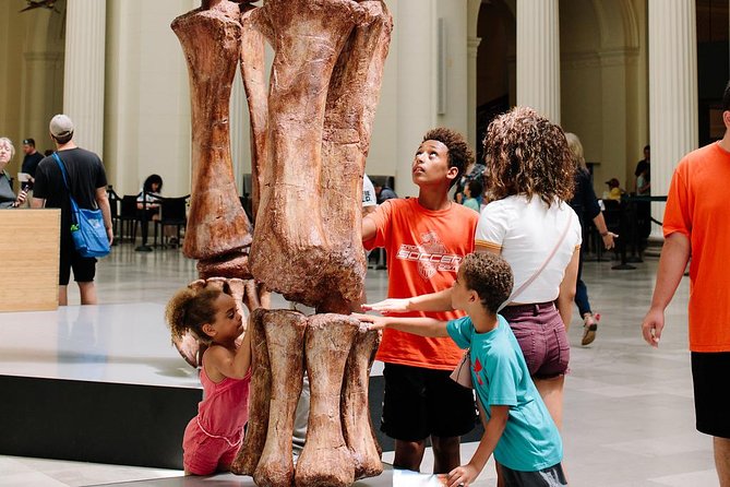 Field Museum of Natural History Admission Tickets - Underground Adventure makes the museum more interactive
