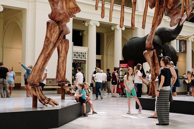 Field Museum of Natural History Admission Tickets - The museum’s animal displays go beyond prehistoric life