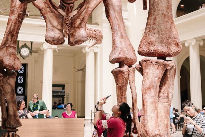 Field Museum of Natural History Admission Tickets - Ancient Americas covers 13,000 years