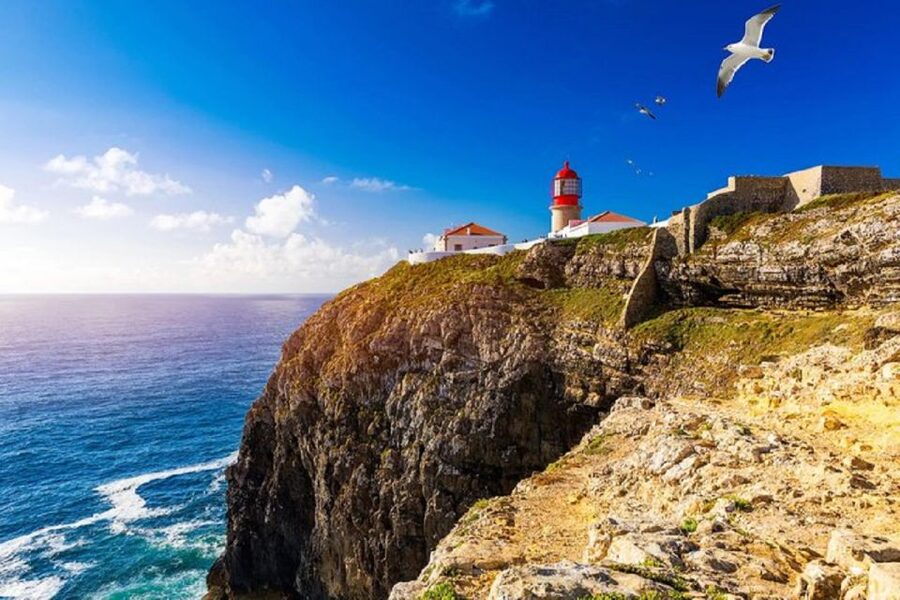 From Albufeira: Historical Algarve Region Tour - What the guide adds to the day