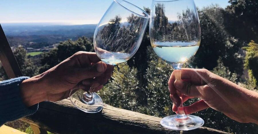 From Albufeira: Wine Tasting & Historic Silves Tour - Key points to know before booking
